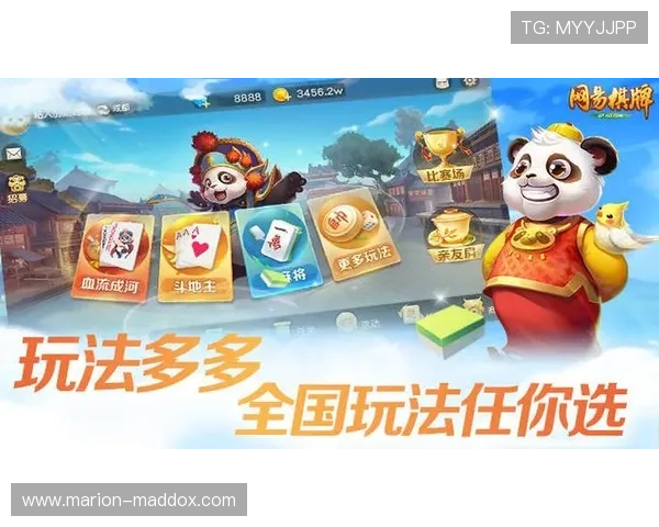 探究开云棋牌网：为何成为玩家们的新宠儿